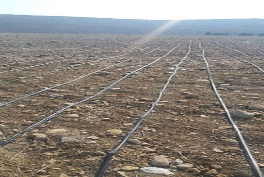 تشکیل ستاد سامانه‌های نوین آبیاری در استان کردستان
