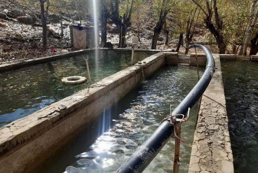 ساماندهی واحدهای غیر مجاز پرورش ماهی در شهرستان دماوند 