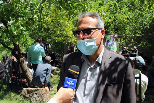 کشاورزان با تعویض تاج درختان گردو نگران سرمای بهاره در باغات خود نباشند