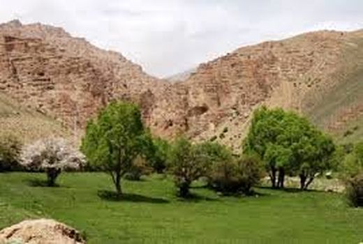 اقدامات بیولوژیکی آبخیزداری در 270هکتار از حوزه های آبخیز ملارد