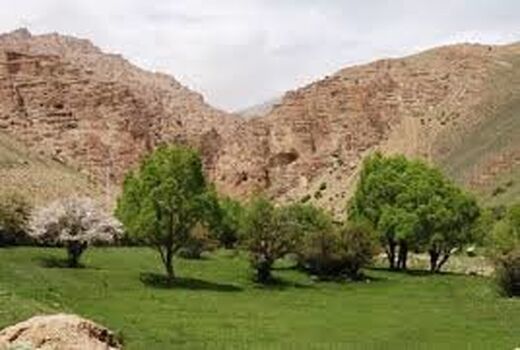 اقدامات بیولوژیکی آبخیزداری در 270هکتار از حوزه های آبخیز ملارد