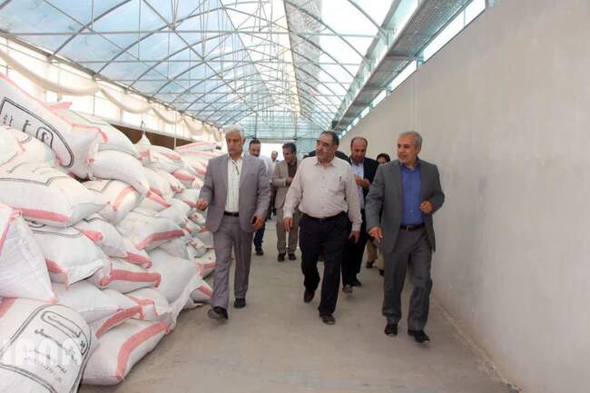 بازدید معاون امور باغبانی وزیر جهاد کشاورزی از پروژه های کشاورزی شهرستان پیشوا