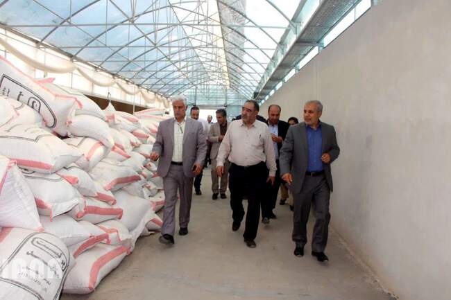 بازدید معاون امور باغبانی وزیر جهاد کشاورزی از پروژه های کشاورزی شهرستان پیشوا