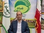 به متقاضیان کشت جایگزین در ایلام بذر رایگان داده میشود