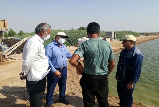 اجرای طرح پایش در مراکز پرورش ماهیان گرمابی خرمشهر