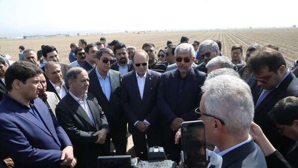 نقش‌آفرینی مجتمع‌های کشت و صنعت در انتقال دانش و نوآوری به کشاورزان ضروری است 