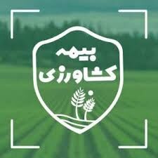 بالغ بر ۷۵ هزار هکتار اراضی کشاورزی خراسان جنوبی زیر پوشش بیمه قرار گرفت