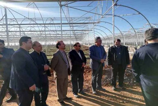 بازدید مجری طرح توسعه گلخانه های کشور از گلخانه های شهرستان شهرضا