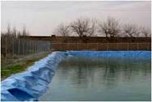 رفسنجان رتبه سوم تولید آبزیان را در استان کرمان دارد