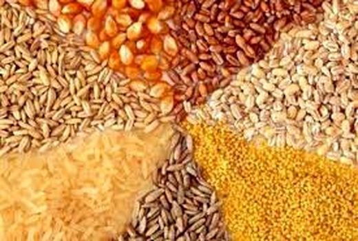 اطلاعیه برون‌سپاری تامین نهاده کنجاله سویا