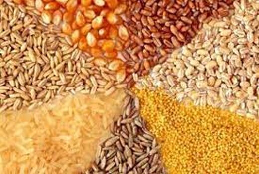 اطلاعیه برون‌سپاری تامین نهاده کنجاله سویا