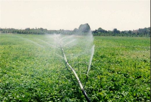 ۵۱۰ میلیارد ریال کمک بلاعوض  برای کشاورزان یزدی