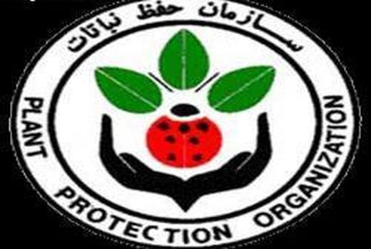 فروشگاه های عرضه سموم قاچاق در استان بوشهر پلمپ شدند