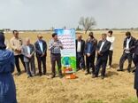 برگزاری کارگاه آموزشی ترویجی کشت چغندرقند در میاندوآب