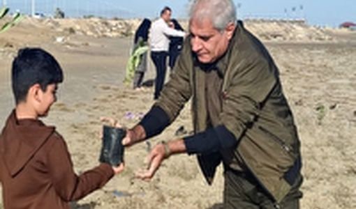 کاشت 2 هزار و 500 اصله نهال در سراسر استان بوشهر