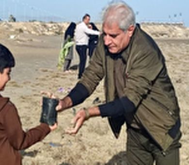 کاشت 2 هزار و 500 اصله نهال در سراسر استان بوشهر