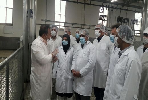 بازدید استاندار قزوین از یک واحد کشتارگاه صنعتی دام در شهرستان بوئین زهرا