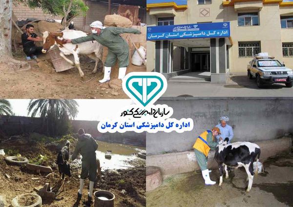 جزئیات خدمات اداره کل دامپزشکی استان کرمان در مناطق سیلزده شهرستان کرمان