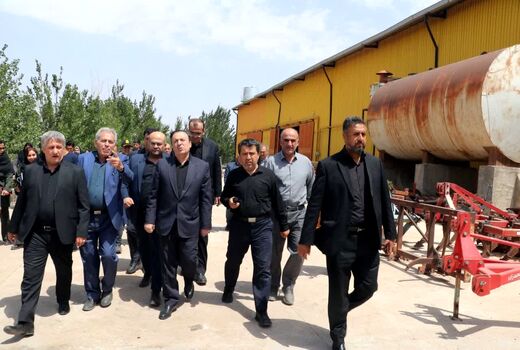 بازدید استاندار قزوین از بزرگترین واحد تولید بذر غلات دیم استان