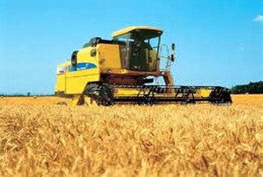 قیمت خرید تضمینی گندم برای سال زراعی آینده ۴ هزار تومان تعیین شد