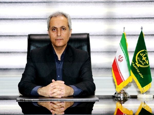خرید ۴۰۹ هزار تن گندم/۲۱۲ میلیارد تومان به گندمکاران پرداخت شد