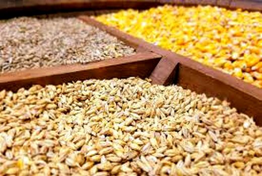 خرید توافقی ۵۲ هزار تن نهاده در تعاونی روستایی خراسان شمالی