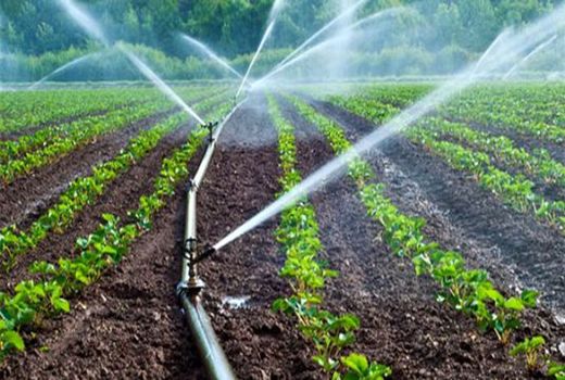 چالش‌های بودجه کشاورزی زیر ذره‌بین 