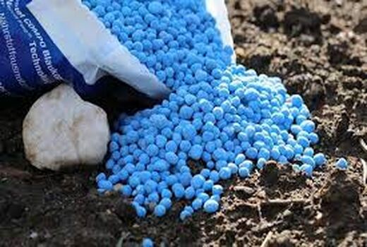 ۲۴ هزار تن کود کشت پاییزه در استان زنجان توزیع می‌شود