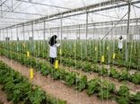 افتتاح شهرک گلخانه‌ای 42 هکتاری شهرستان فریدن