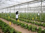 افتتاح شهرک گلخانه‌ای 42 هکتاری شهرستان فریدن