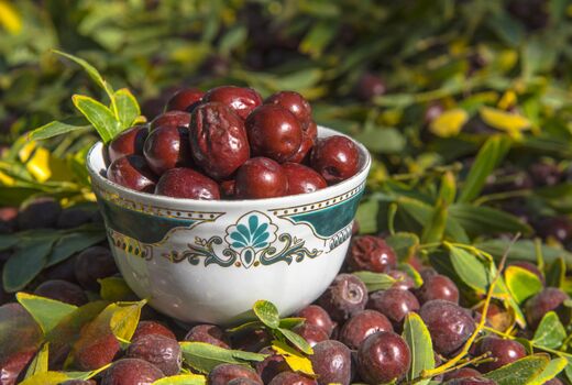 سرخی عناب میان خاک کویر