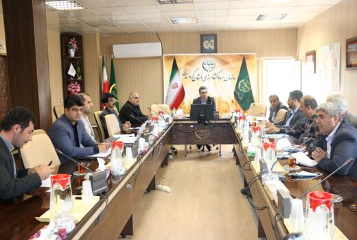 مجوز صادرات 19 هزار راس دام سبک و سنگین در کردستان صادر شد
