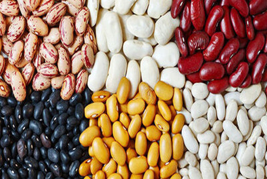 سفید و قرمز، لوبیاهایی که محبوب‌تر شده‌اند