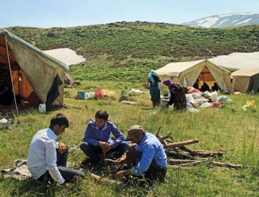 رشد حدود ۲۵ درصدی ثبت جمعیت عشایر شیروان