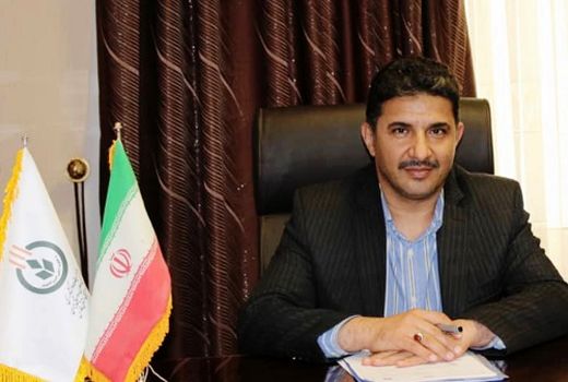 خرید ۲۲۵ هزار تن گندم تولیدی فارس