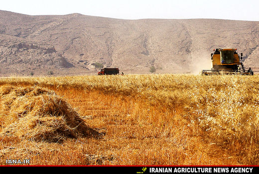 ایالات متحده آمریکا چگونه از کشاورزان خود حمایت می‌کند؟
