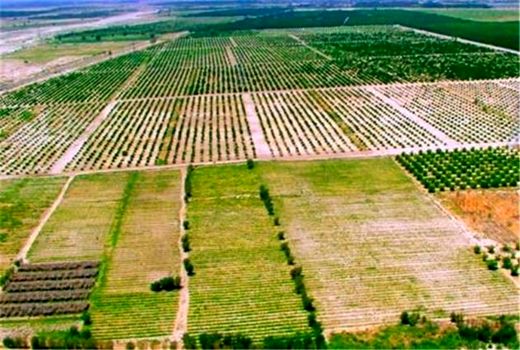 واگذاری اراضی ملی فیروزآباد برای توسعه خدمات 