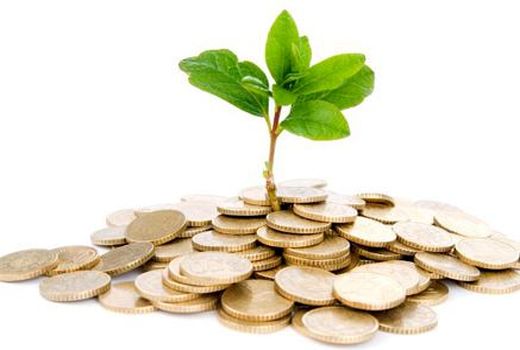 کشاورزان نی‌ریزی تسهیلات کم‌بهره دریافت می‌کنند