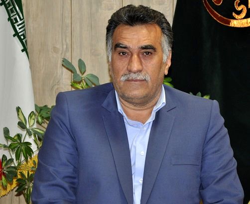 خرید ۴۵ تن دانه روغنی کلزا از کشاورزان خراسان جنوبی