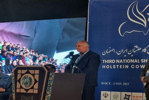 آشنایی مردم با نحوه تولید فرآورده‌های لبنی هدف اصلی جشنواره گاو هلشتاین 