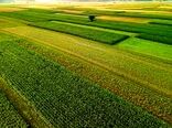 تناوب زراعی، راهبردی جدید برای احیای زمین کشاورزی