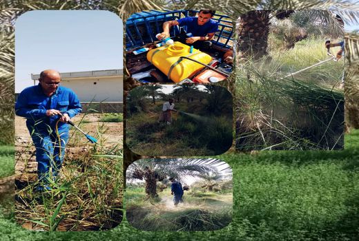 توزیع رایگان سم علف کش در آبادان