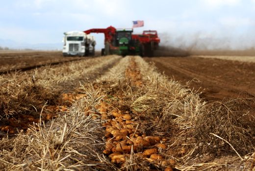 تاثیر گرمایش کره زمین در اقتصاد آمریکا