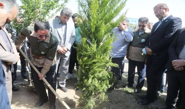 افلاطونی: پویش سرو ایران نماد ایستادگی و رویش دوباره ملت است