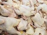 تولید گوشت در کردستان هشت درصد افزایش داشته است
