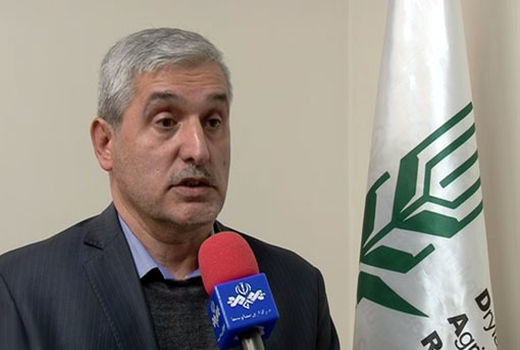  اجرای ۱۸۹ طرح تحقیقاتی در دیم زار‌های ۱۶ استان