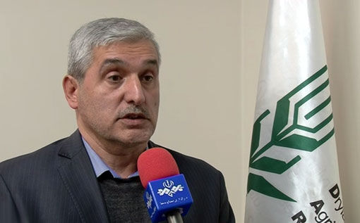  اجرای ۱۸۹ طرح تحقیقاتی در دیم زار‌های ۱۶ استان