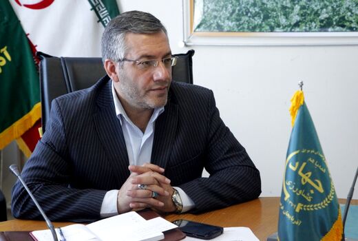 تداوم روند صادرات سیب درختی از آذربایجان غربی