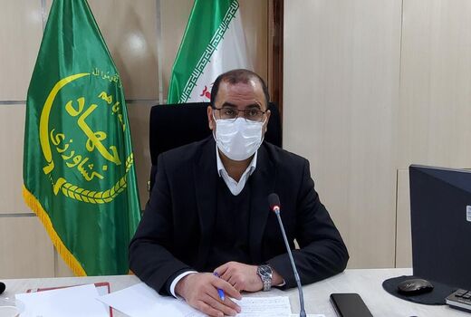 تاکنون ۷۲ درصد از طرح جهش تولید در دیمزارهای استان تحقق پیدا کرده است