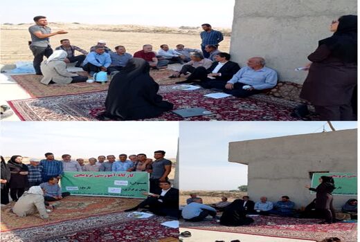 کارگاه آموزشی ترویجی الگوی کشت در استان بوشهر برگزار شد
